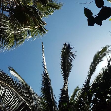 Janna D'Ifni Hotel Sidi Ifni Ngoại thất bức ảnh